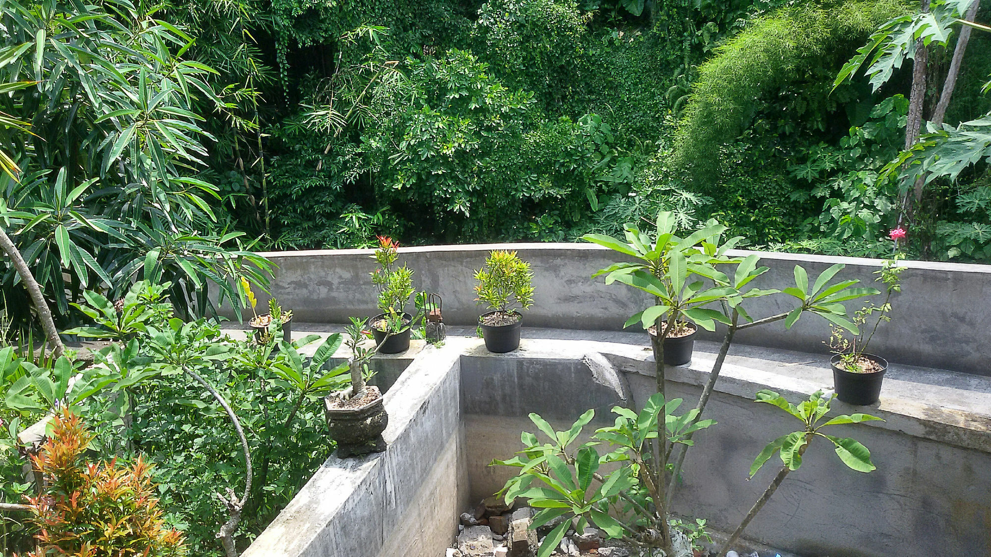 Appartement Karma House à Ubud Extérieur photo